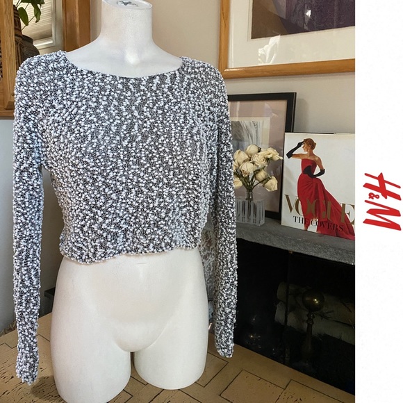 H&M Tops - H&M Crop Top Sweater